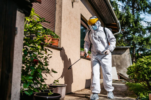 Best Affordable Pest Control Services  in Mesita, NM