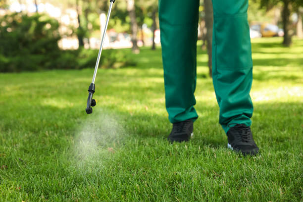 Best Mosquito Control Services  in Mesita, NM