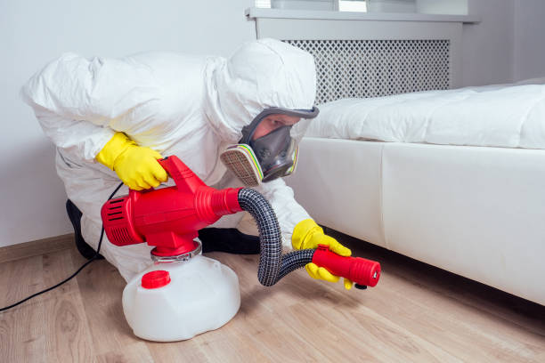 Pest Prevention Services in Mesita, NM