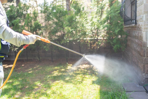 Best Pest Prevention Services  in Mesita, NM