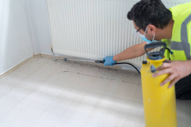 Trusted Mesita, NM Pest Control Experts