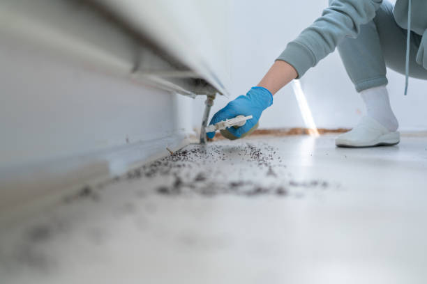 Best Commercial Pest Control Services  in Mesita, NM